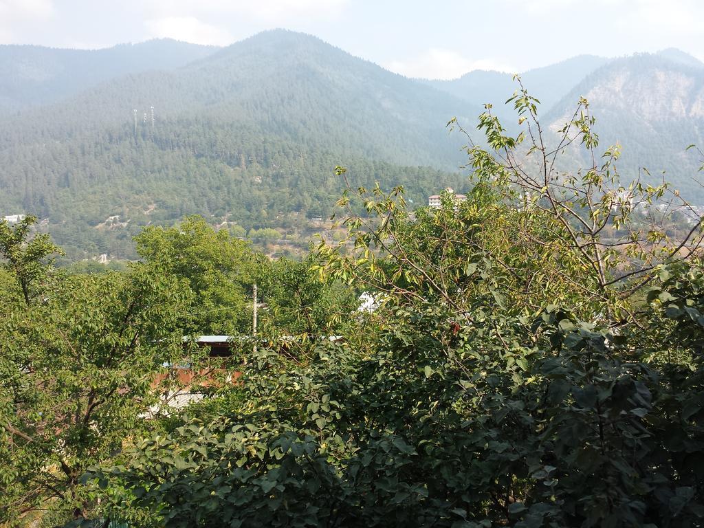 Bacho,S Cottage Боржомі Екстер'єр фото
