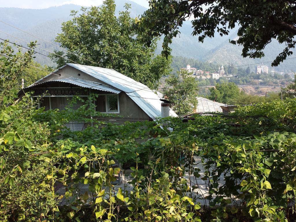 Bacho,S Cottage Боржомі Екстер'єр фото